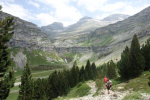 Can You Reapply After a Decline? How Review Appeals & Reapplications Work at Fast Loan UK